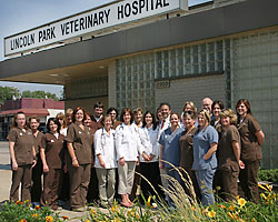 Lincoln Park Veterinary Hospital Staff Lincoln Park Veterinary Hospital Staff