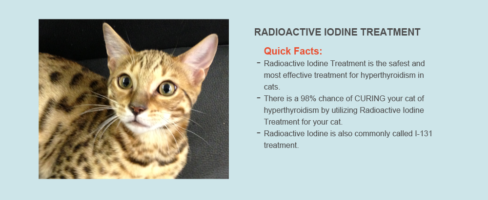 Radioactive Iodine Treatment