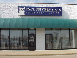 Exclusively deals cats vet